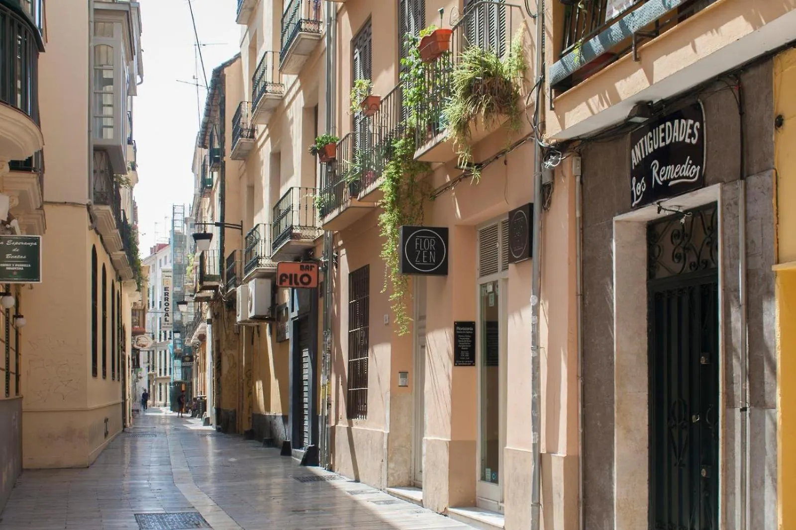 Beatassuite 1 Málaga